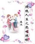 凡人修仙录封面