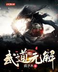 武道元解封面