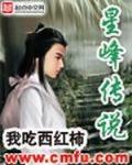 星峰传说封面