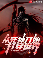从死神开始打穿世界封面