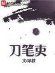 刀笔吏封面