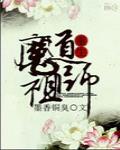 陈情令封面