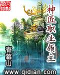神匠职业领主封面