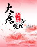 大唐暖阳阳封面