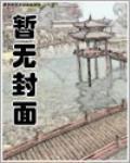 一花一世界封面