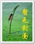 超级少爷封面