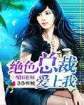 我的总裁女友封面