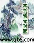 贼公子封面